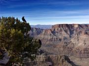 Grand Canyon 2-gigapixel-hq-scale-2 00x - ... ...