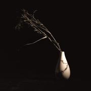 Grassy - Shane Clarkson