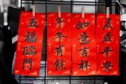 Happy Lunar New Year - Margaret Frankish