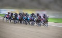 Harness Racing - Carol Abbott