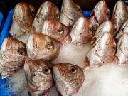 Heads, no Tails P2235533 DxO - Christo van Rensburg