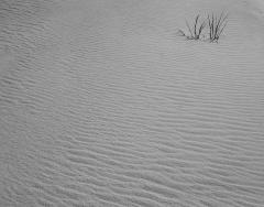 Henty Dunes - Malcolm McKay