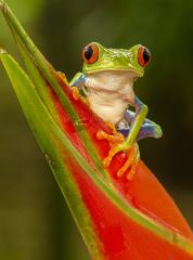 Here's Looking at You - Kerry Boytell