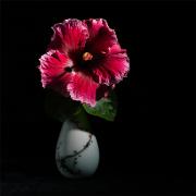 2025-09 Personal projects