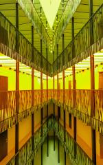 Hi Viz Foyer - Robyn Miller