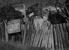 Hill End Decay - Maureen Rogers