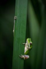 Holding - Maria Mazo