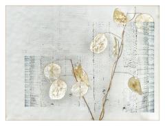 Honesty - Dawn Zandstra