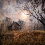 House in field - Hemant Kogekar