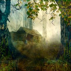 House in woods - Hemant Kogekar