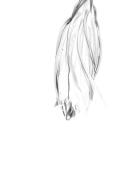 IMG 1578 - Judy Warburton