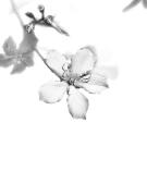 IMG 1994 - Judy Warburton