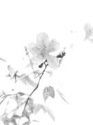 IMG 2003 - Judy Warburton