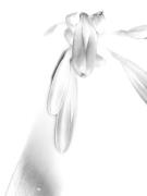 IMG 2948 - Hemant Kogekar