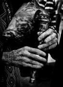 IMG 7535 - ... ...