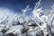 Ice-age - ... ...