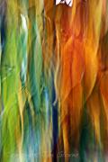 Impressions of Autumn J Glover - ... ...