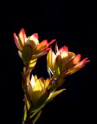 In the late afternoon - Geoff Clark