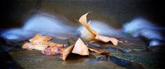 In the maelstrom - Geoff Clark