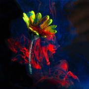 Ink&Water01.1 RC - Rod Carter