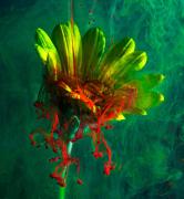 Ink&Water02 RC - Rod Carter