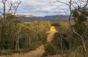 Into the Capertee Valley - Judith Bennett