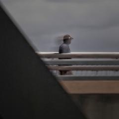 Iron Cove Walker -  Bruce Allen