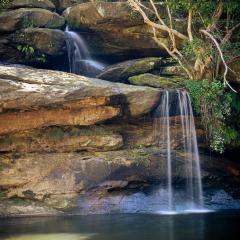 Irrawang Falls - David Ross
