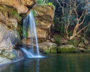 Irrawong Falls-230830-79027 - Donald Gould