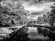 Johnstons Creek - Steve Mullarkey