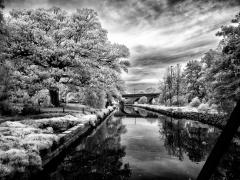 Johnstons Creek - Steve Mullarkey