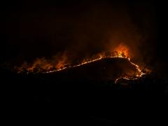 Kakadu burning - Heather Miles