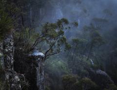 Kangaroo Valley in the mist - Heather Miles