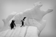 Keep Walking - ... ...