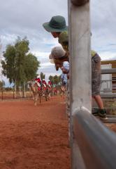 Kids and Camels - Yulara Camel Cup Finish Line 2018 - Dolores Horton