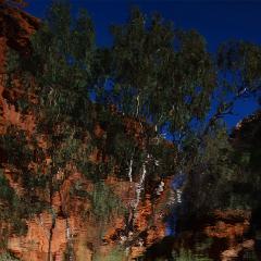 Kings Canyon Rerflection - Robyn Miller