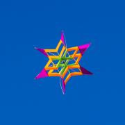 Kite Bare Island - Donald Gould