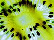 Kiwi Slice P2285794 Nik Nik DxO - Christo van Rensburg