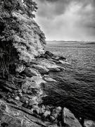 Lady Bay Beach - Steve Mullarkey