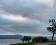 Lake Illawarra - Dawn Zandstra