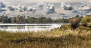 Lake Canobolas - Steve Mullarkey