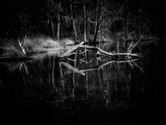 Lake Conjola - Judy Warburton