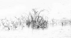 Lake Grasses - Steve Mullarkey