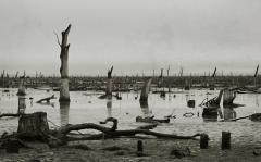 Lake Mulwala - Margaret Frankish