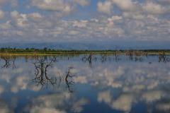 Lake Shot SriLanka - George Steiner