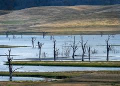 Lake St Clair - Heather Miles