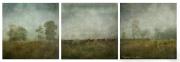Landscape Triptych by Jan Glover - NCP Admin
