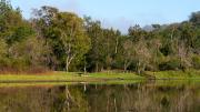 Landscape - Lake at Wollombi - Robyn Miller