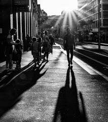 Late Afternoon Shadows - Judy Watman