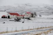 Laugarvatn - ... ...
